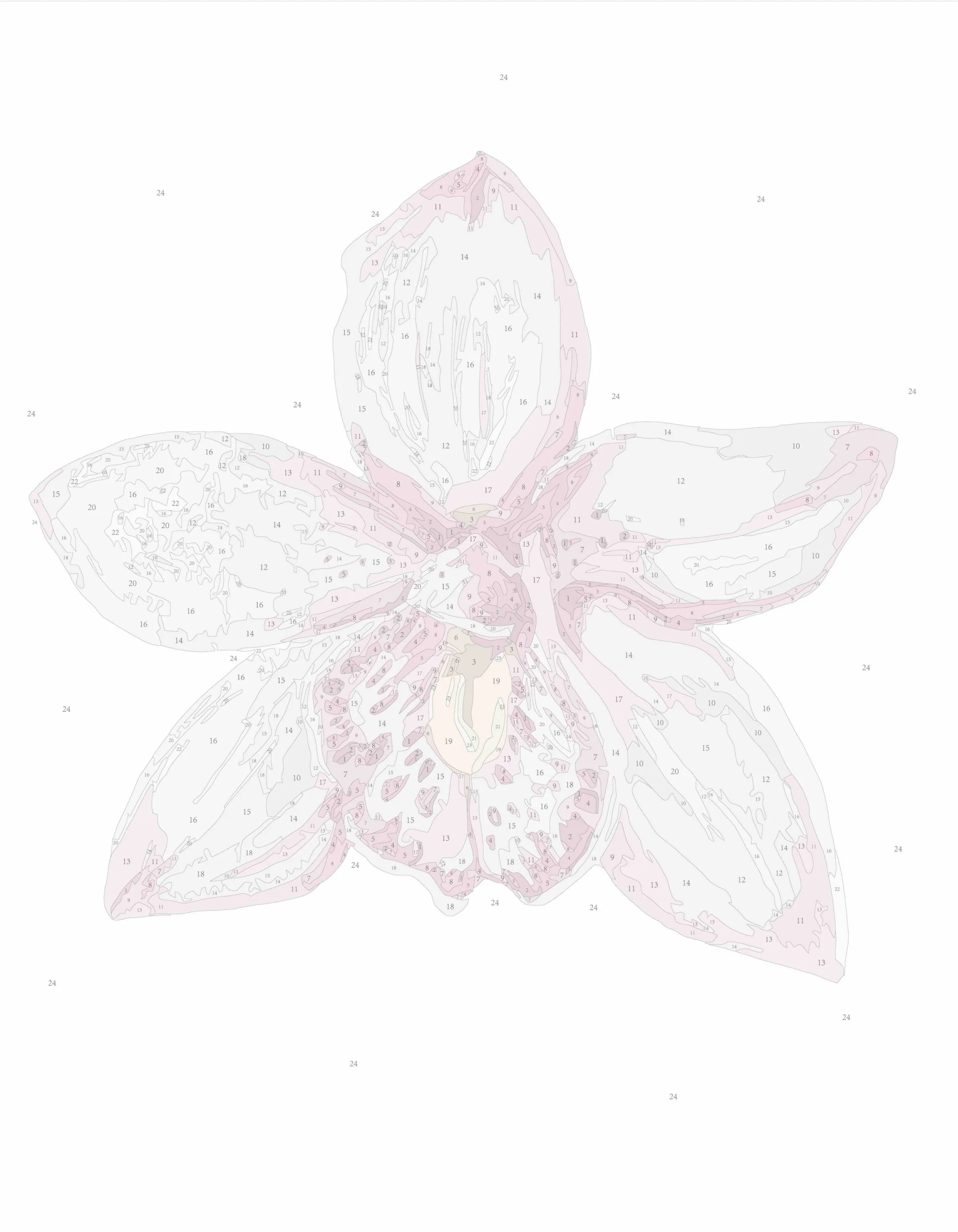 Orchid II (Rolled) - Image 2
