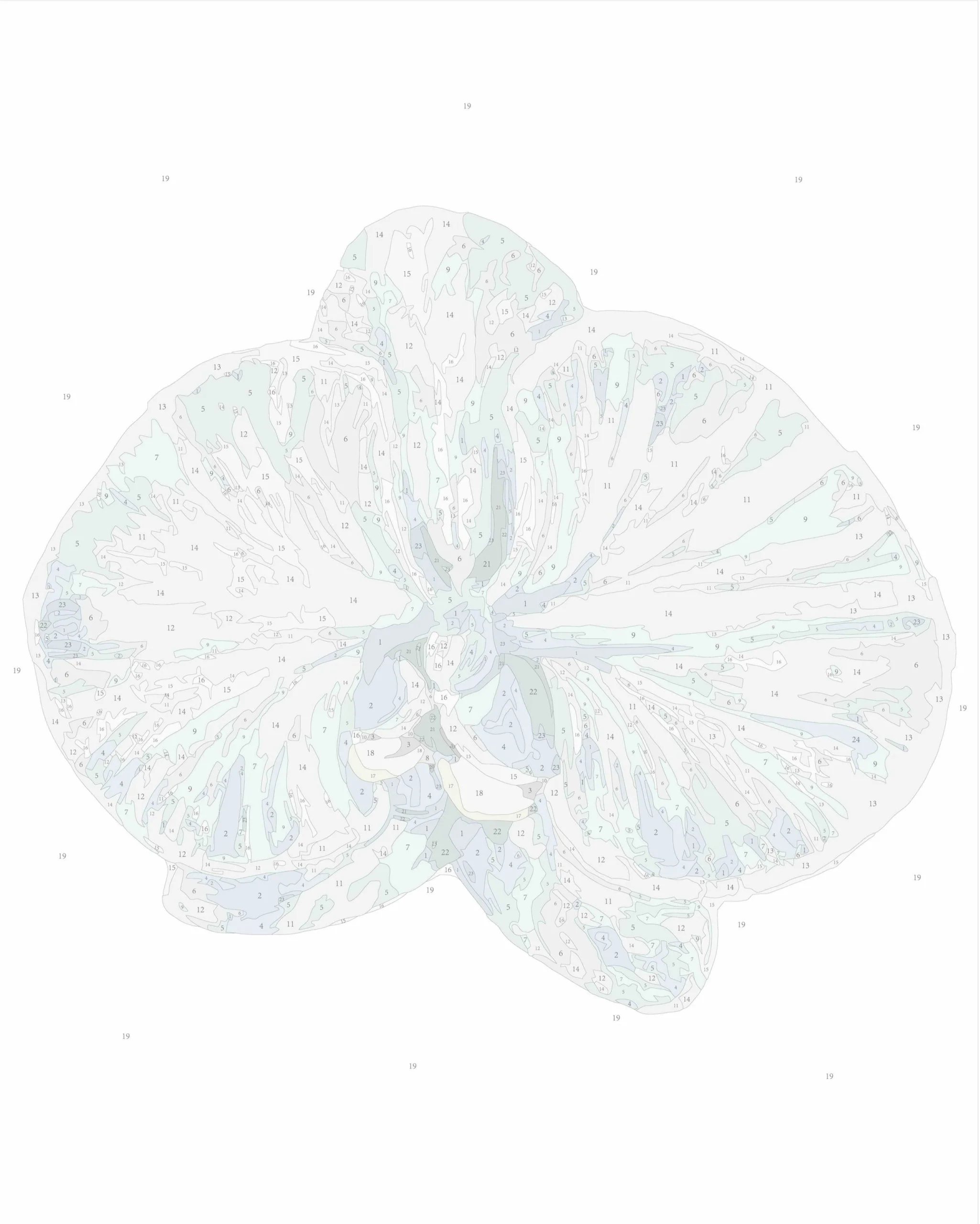 Orchid III (Rolled) - Image 2
